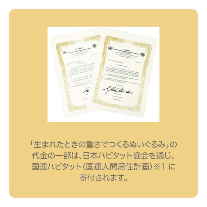 【ウェイトドール】Wedding Bear ベーシック(アイボリー)