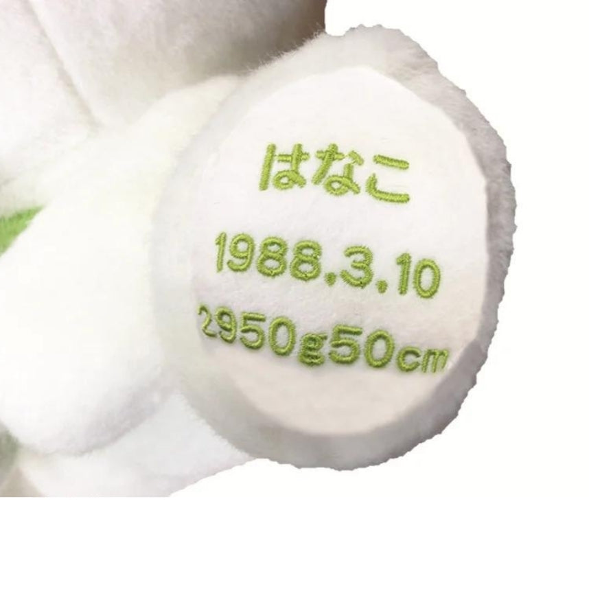 【ウェイトドール】次の日ケロリ  前(緑)