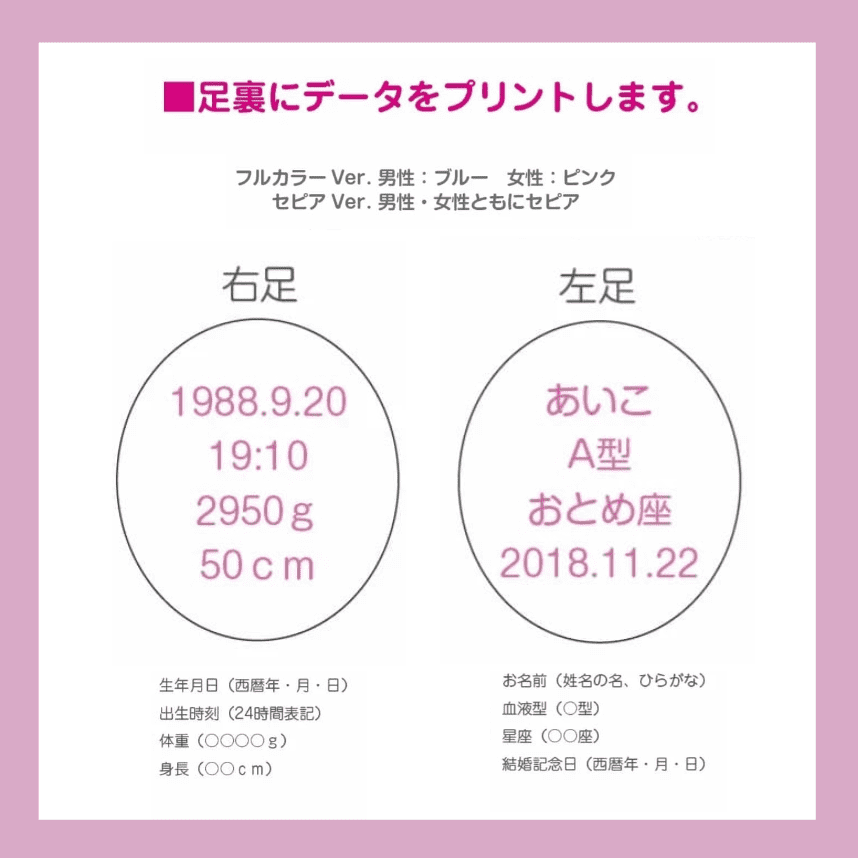 フルカラー(フォトベア)